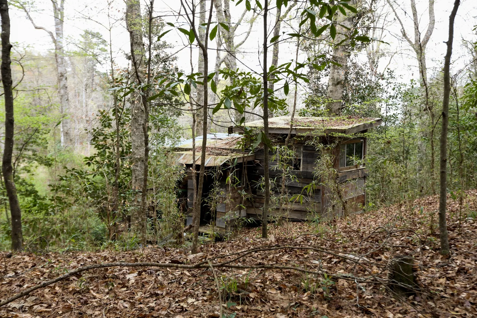 Tree House standing set